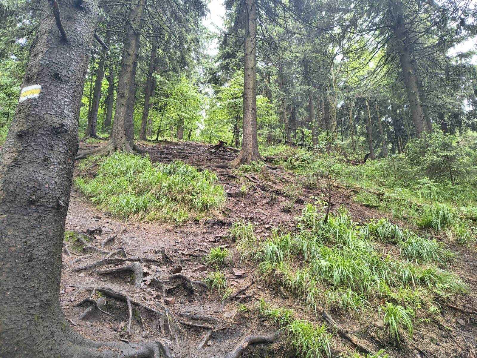 Zdjęcie 3