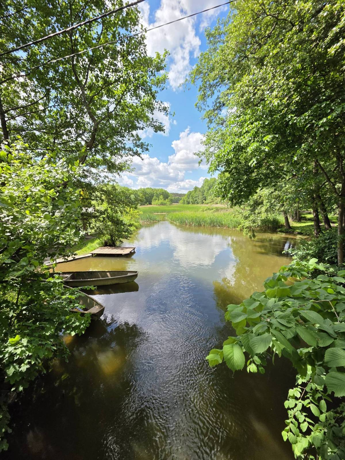 Zdjęcie 6
