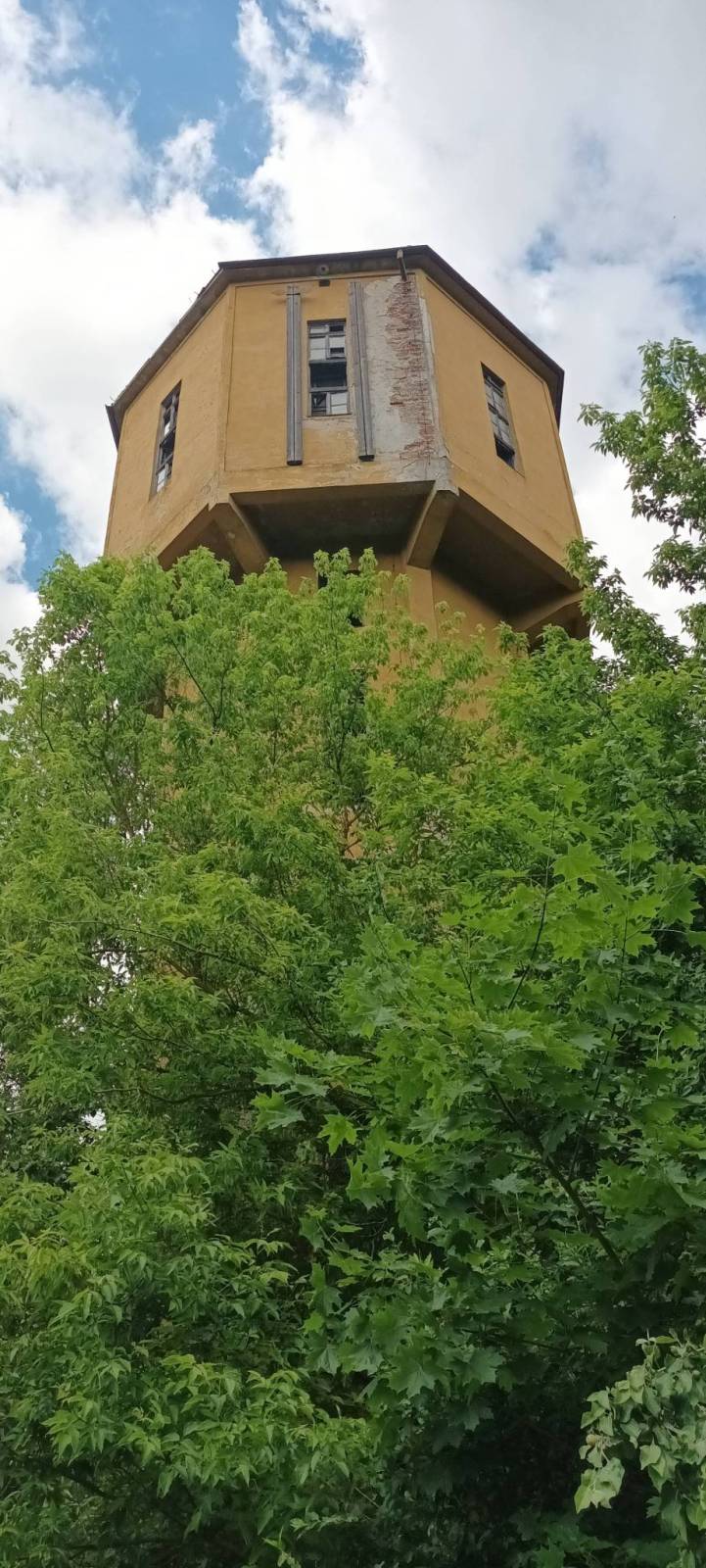 Zdjęcie 6