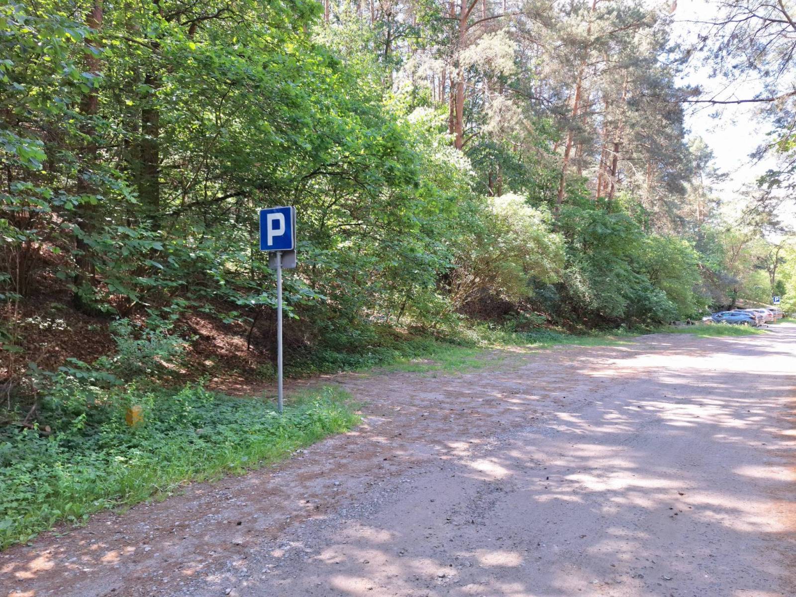 Zdjęcie 5