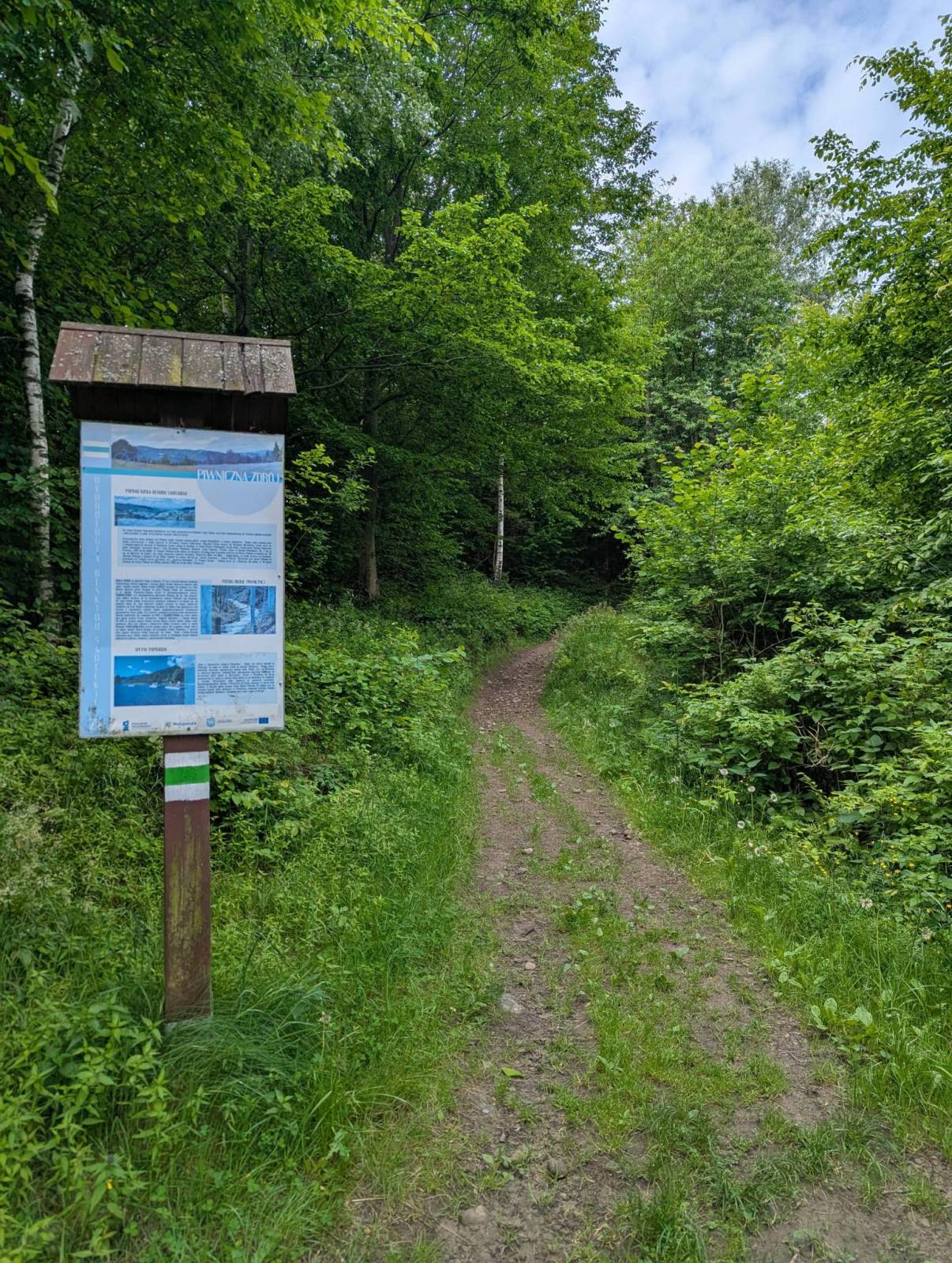 Zdjęcie 6