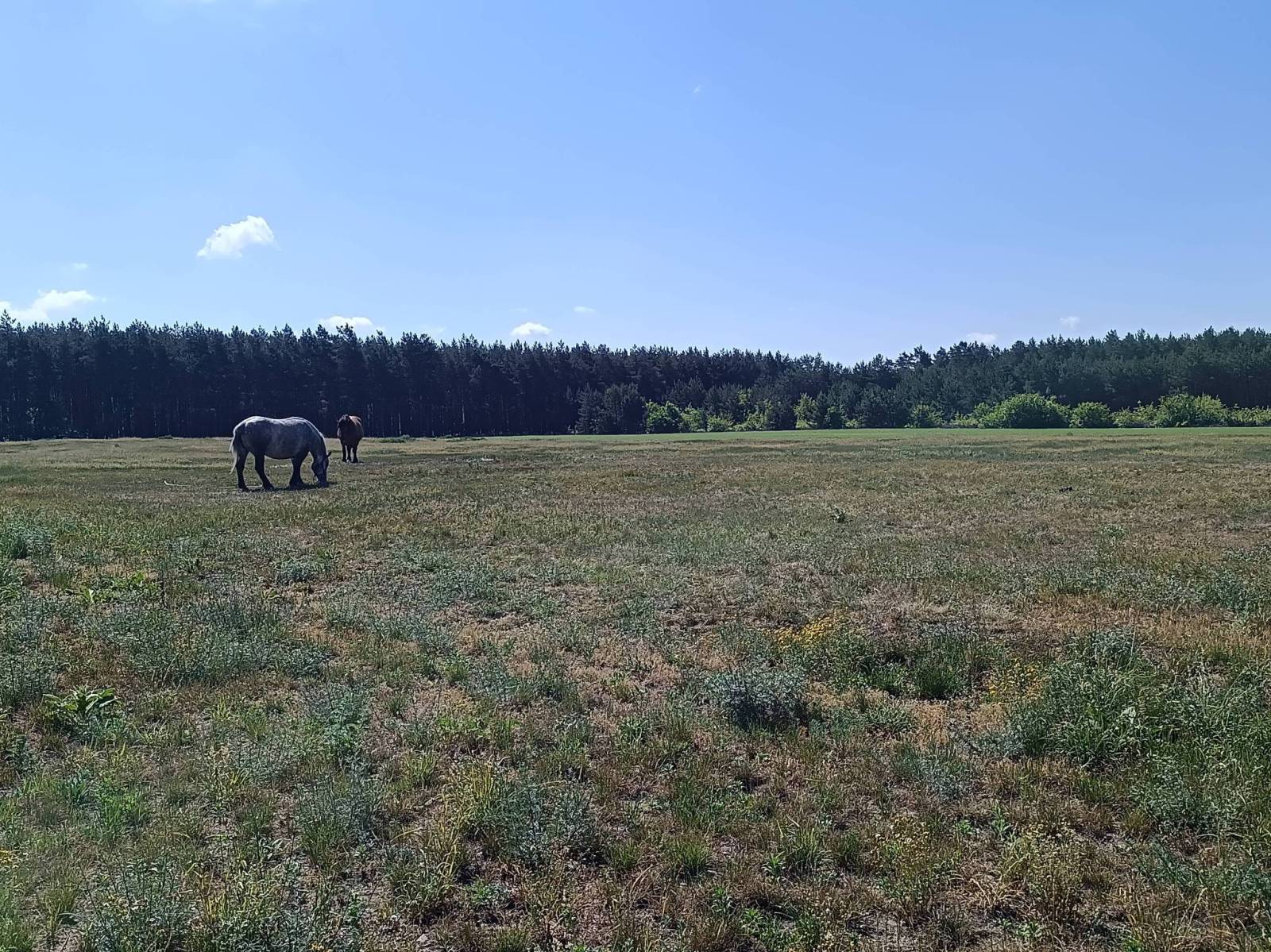 Zdjęcie 6
