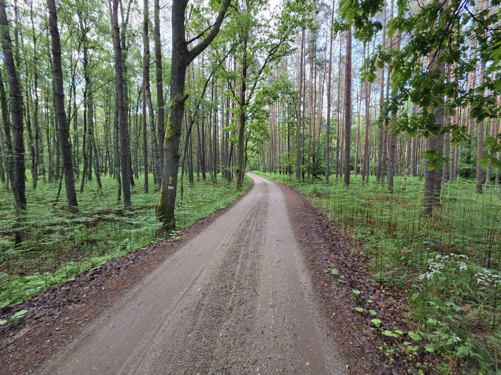 Zdjęcie 5