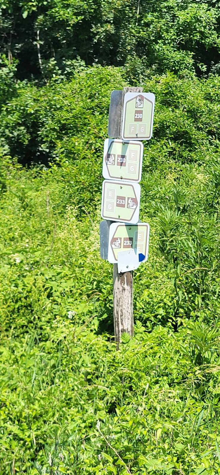 Zdjęcie 6
