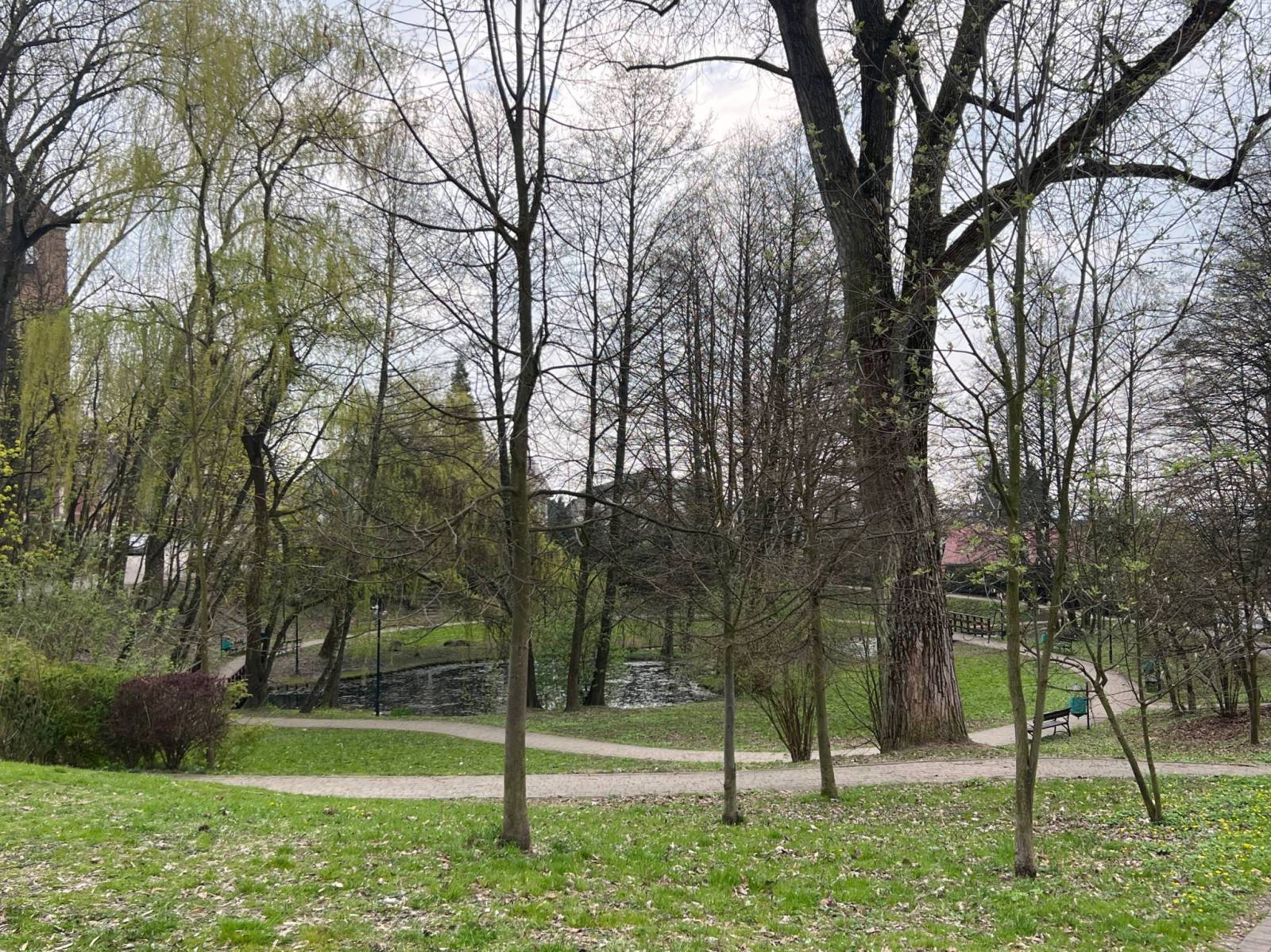 Zdjęcie 1