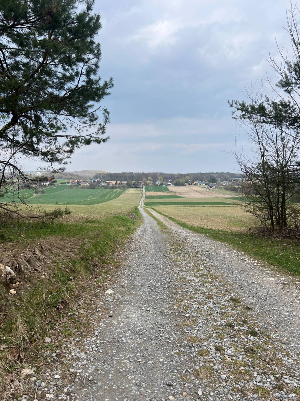 Zdjęcie 5