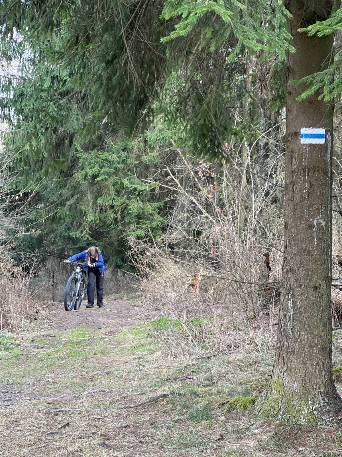 Zdjęcie 5