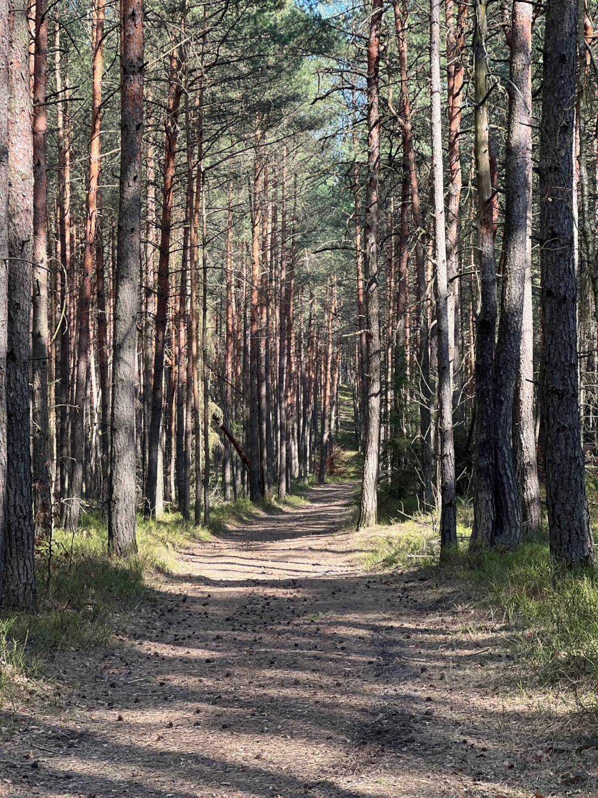 Zdjęcie 3