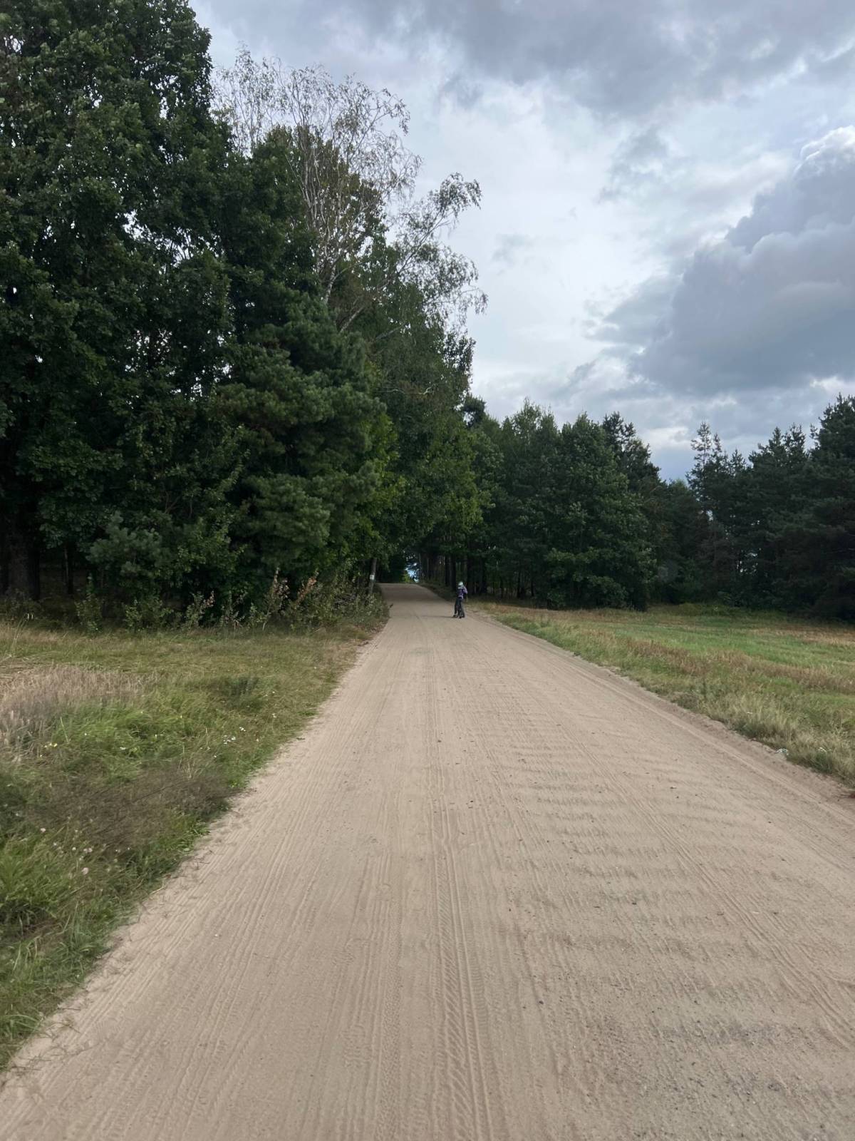 Zdjęcie 1