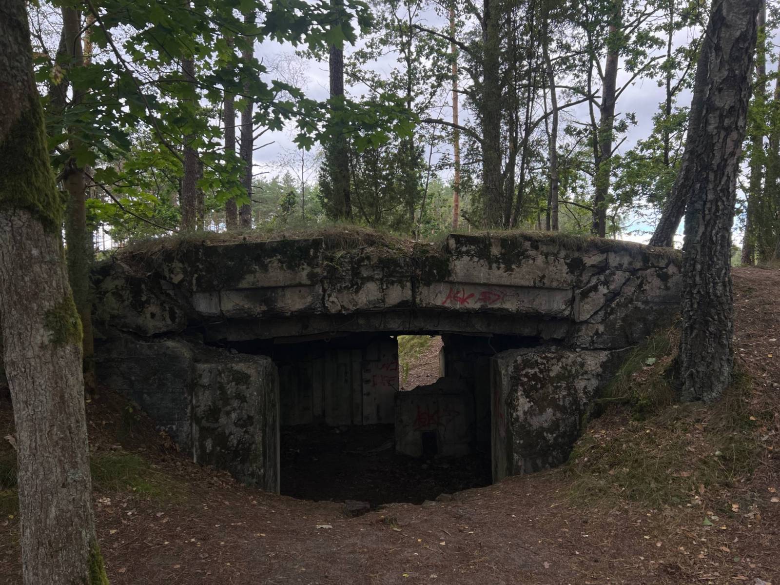 Zdjęcie 6