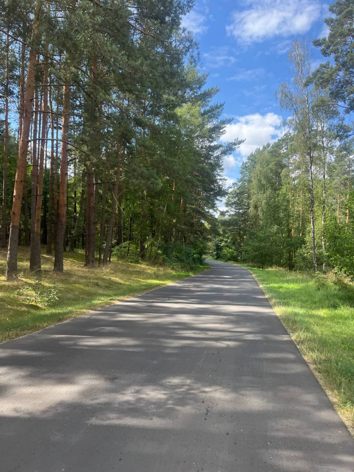 Zdjęcie 3