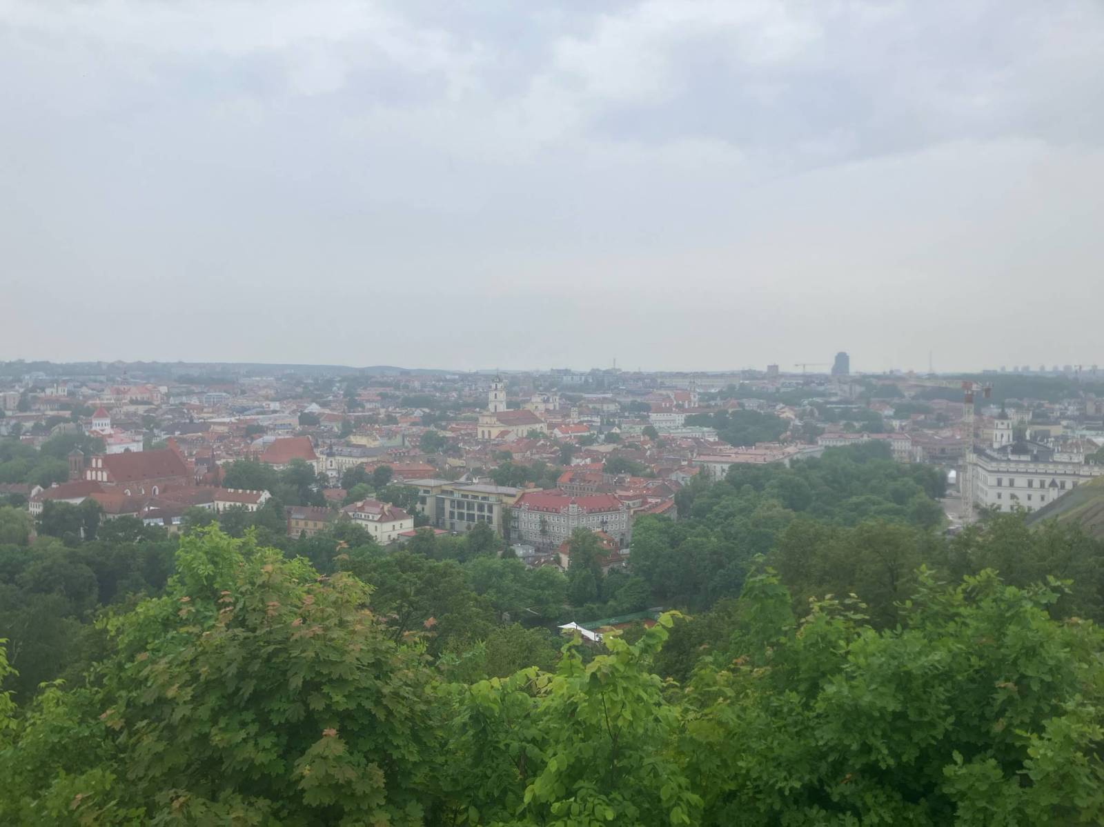 Zdjęcie 1