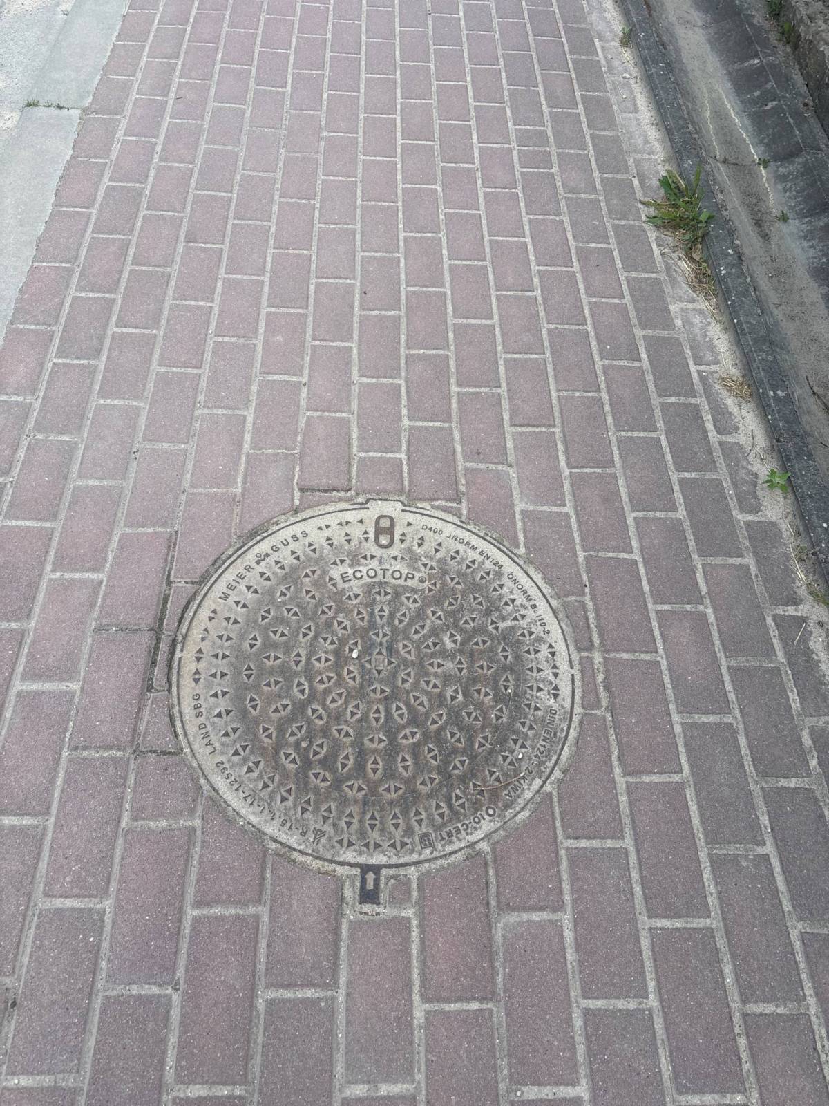 Zdjęcie 3