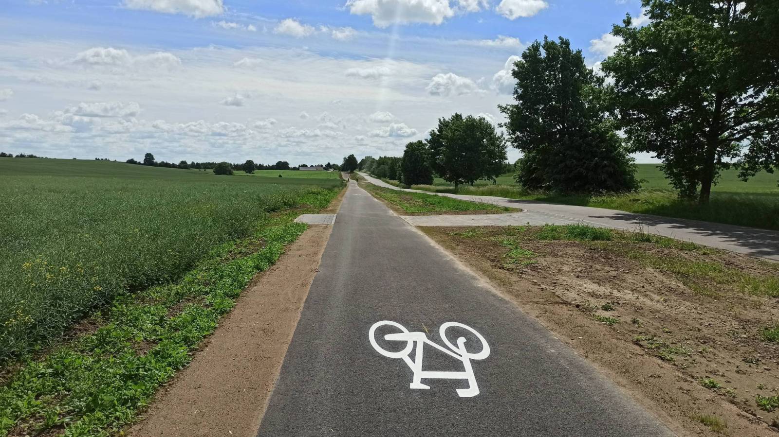 Zdjęcie 3