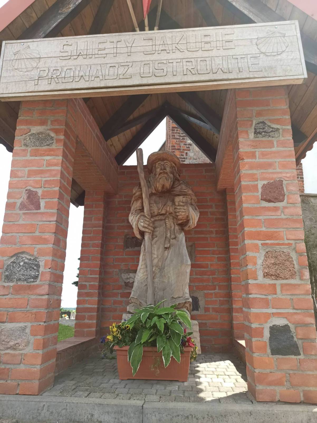 Zdjęcie 6