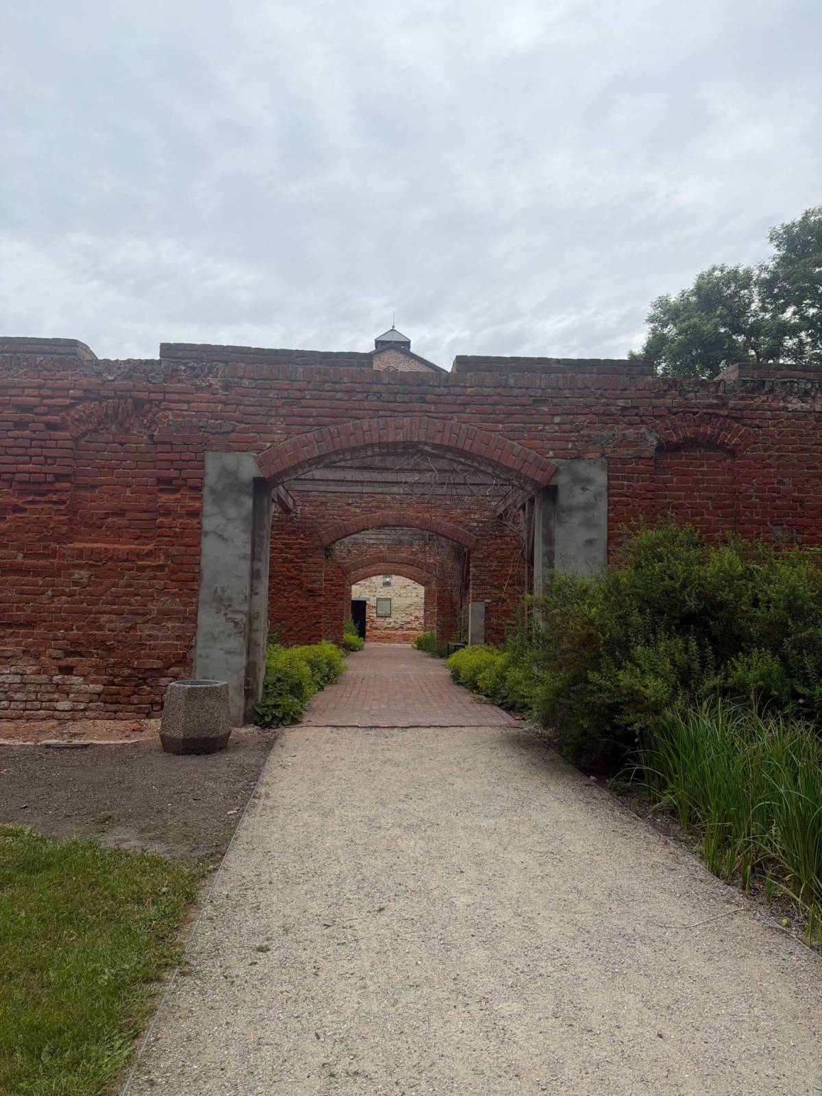 Zdjęcie 1