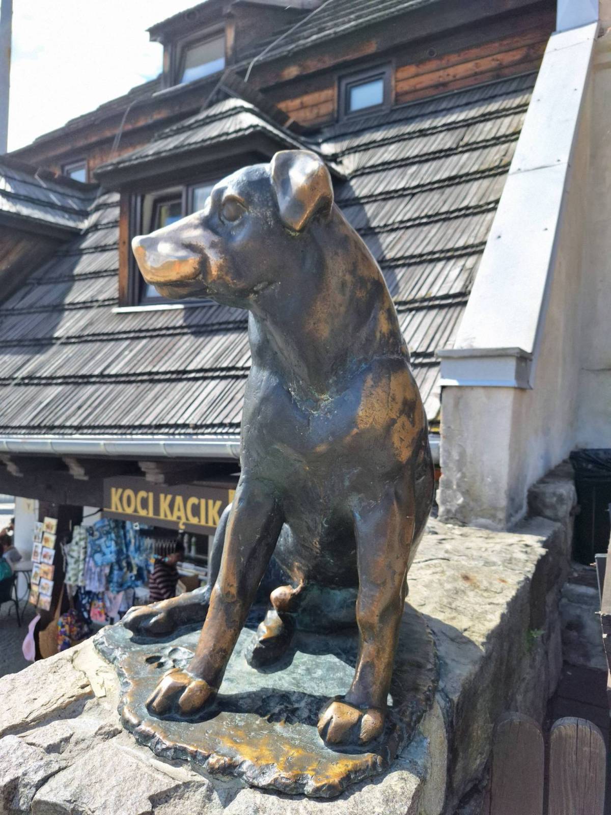 Zdjęcie 5