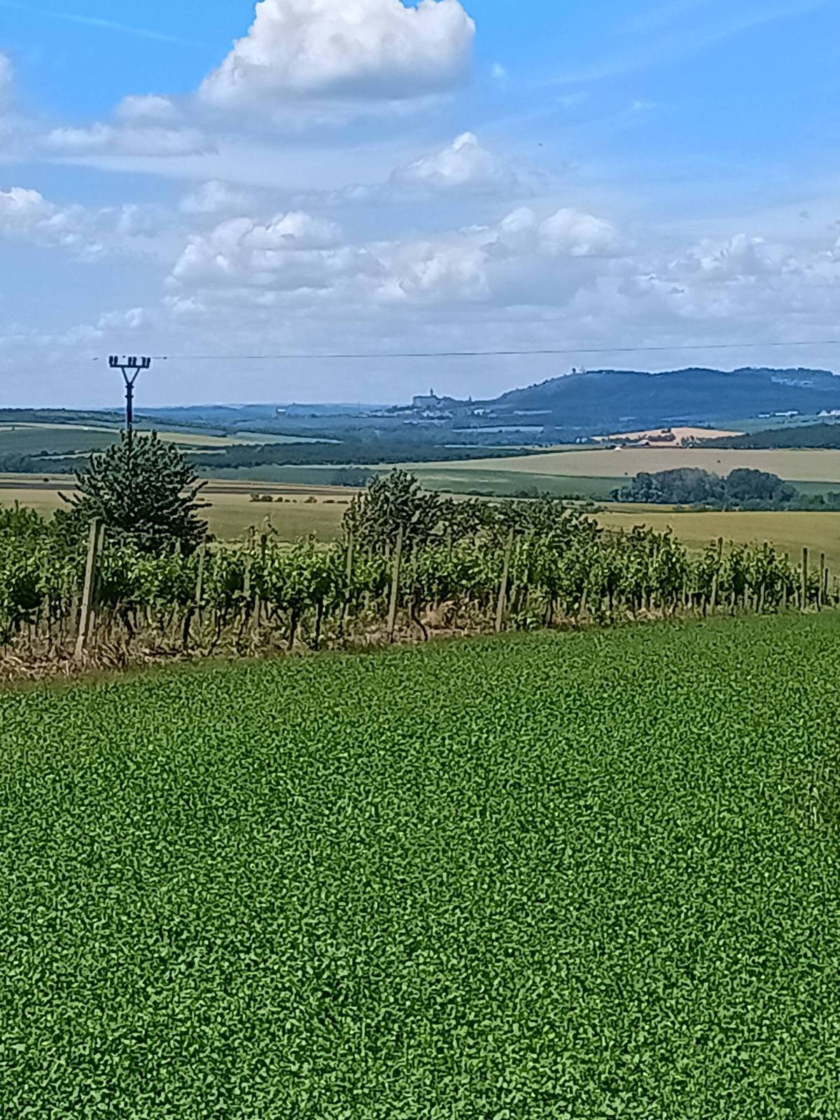 Zdjęcie 2