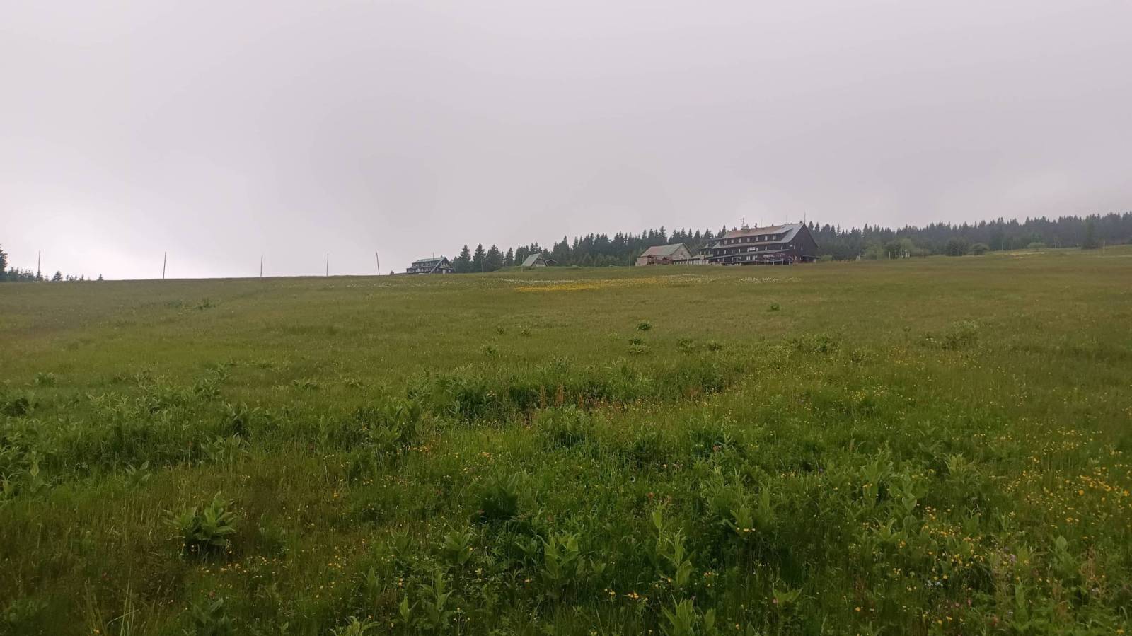 Zdjęcie 5