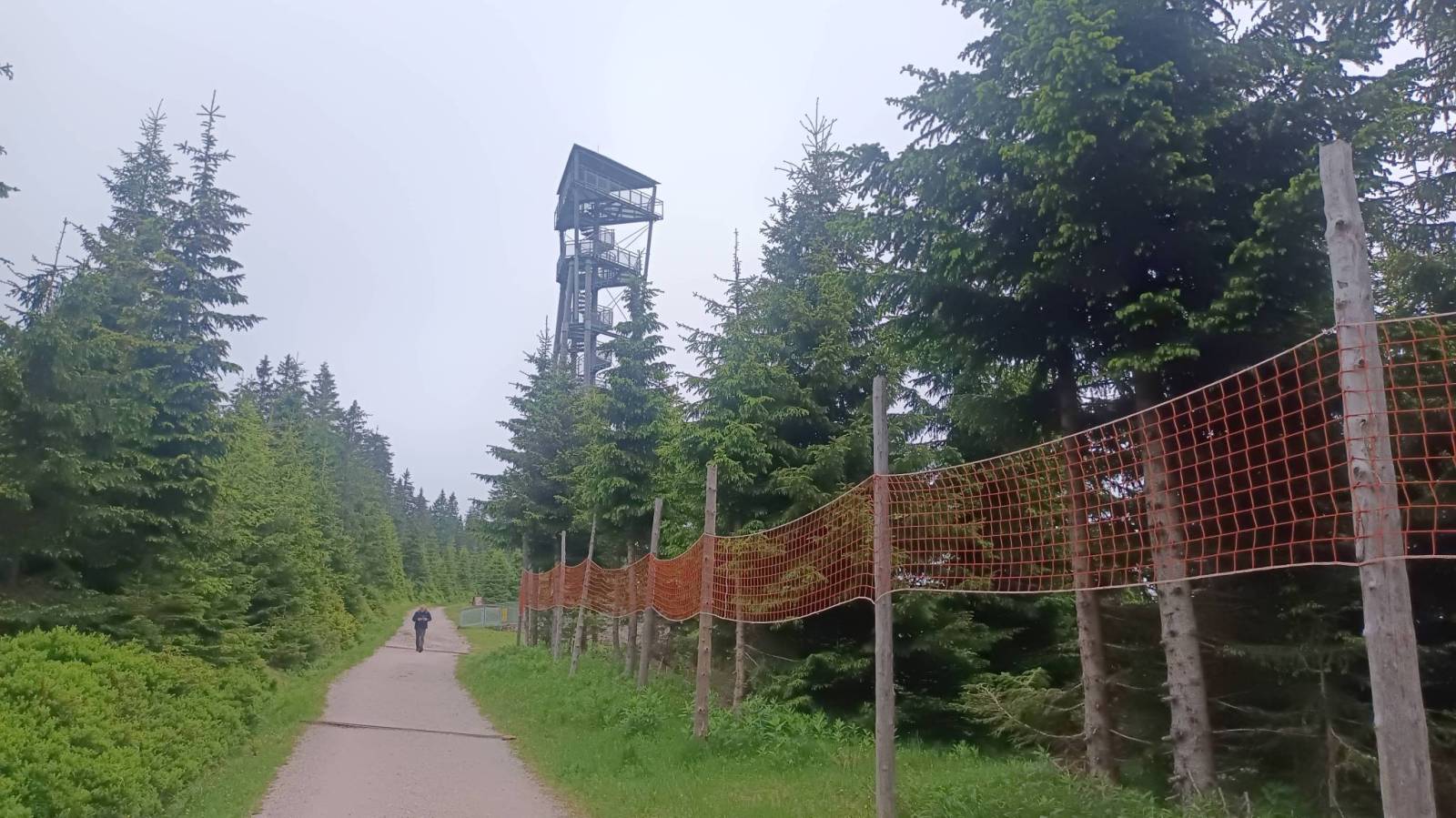Zdjęcie 1