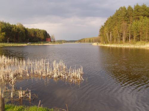 Zdjęcie 6