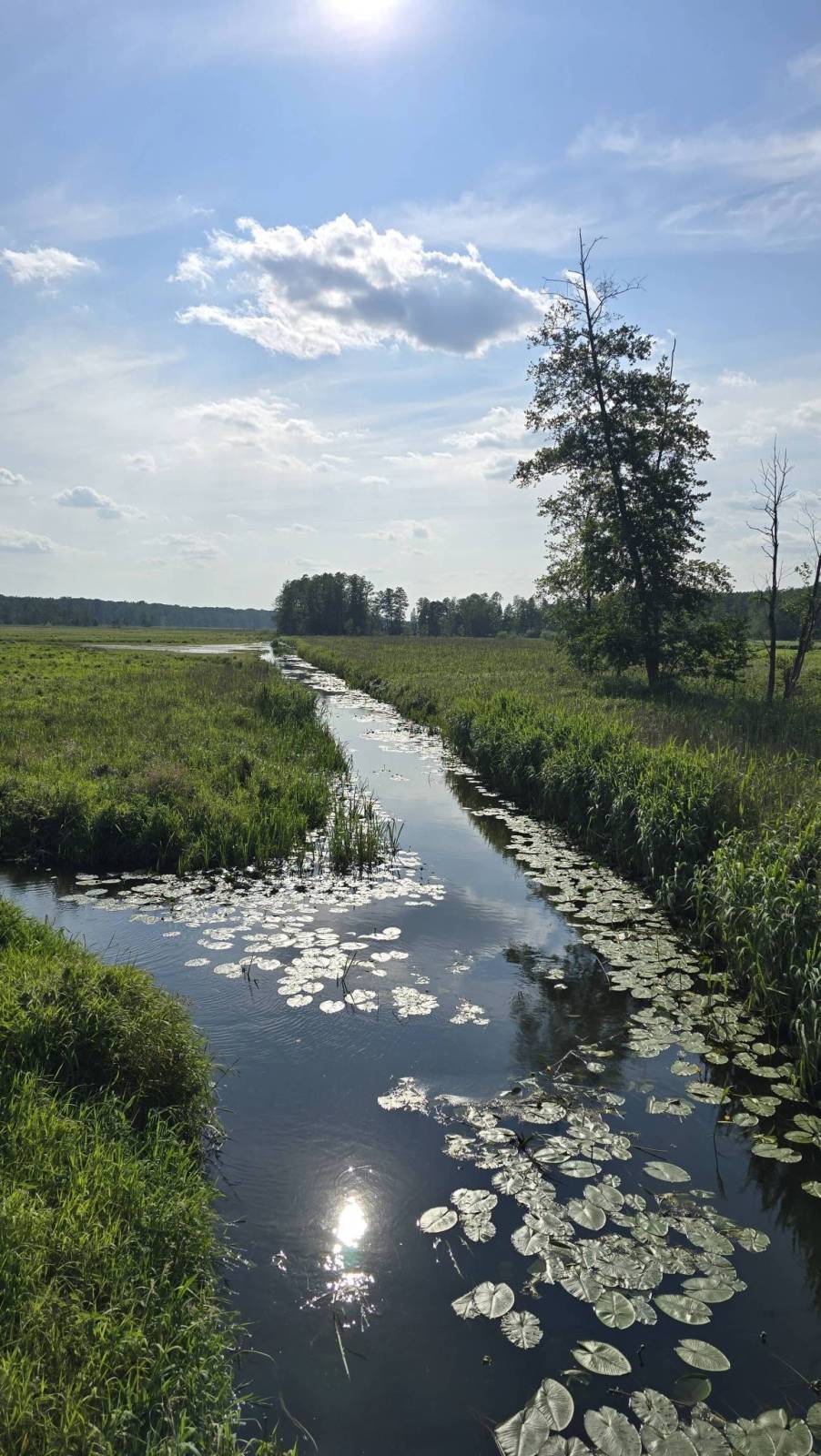 Zdjęcie 1