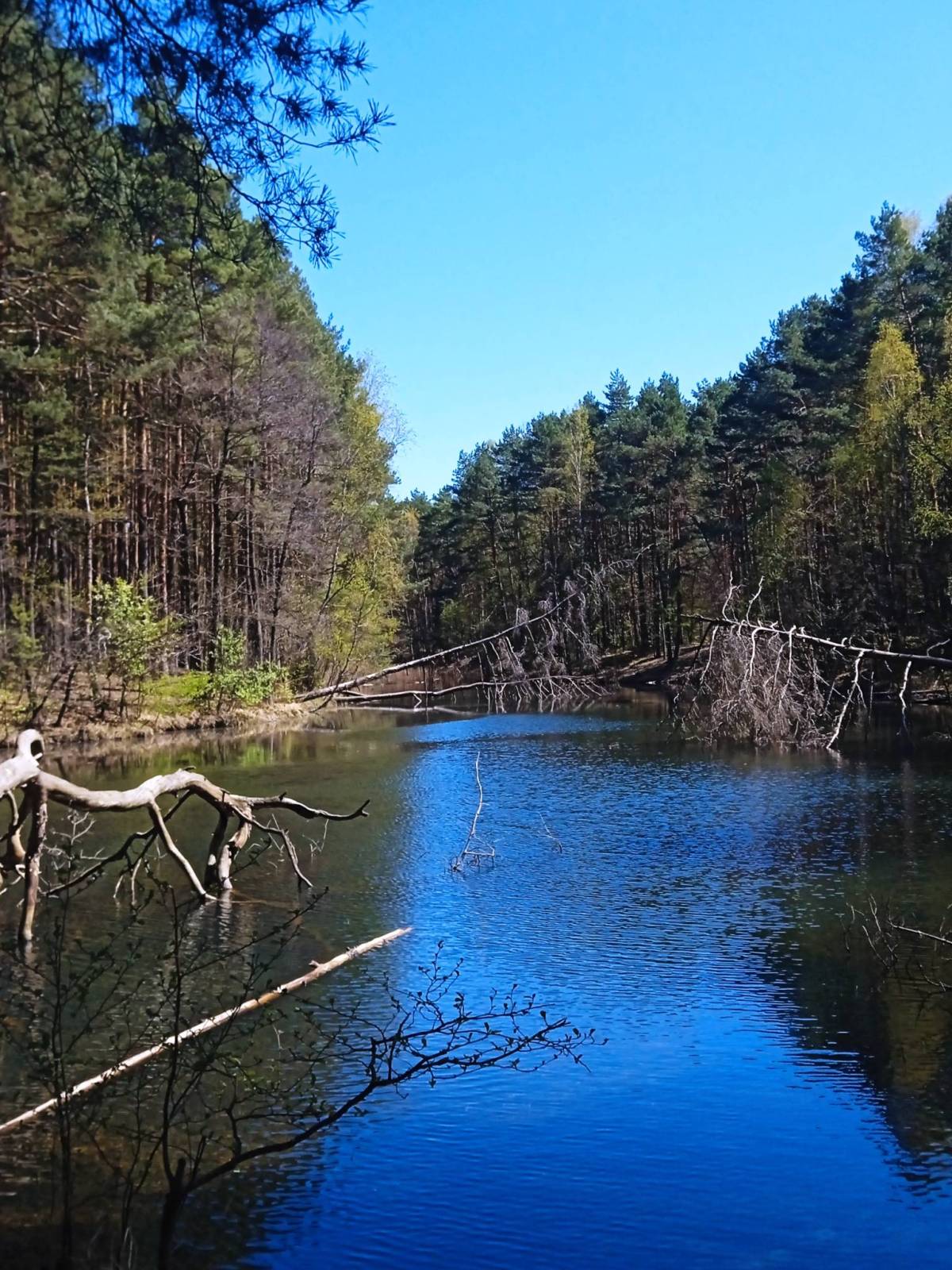 Zdjęcie 1