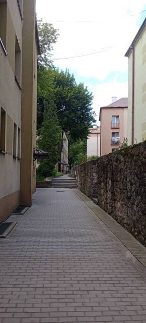 thumb-image