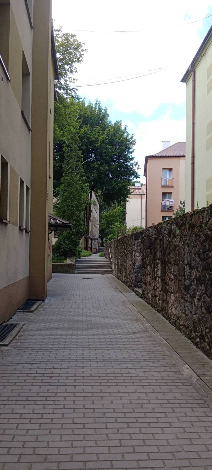 Zdjęcie 1