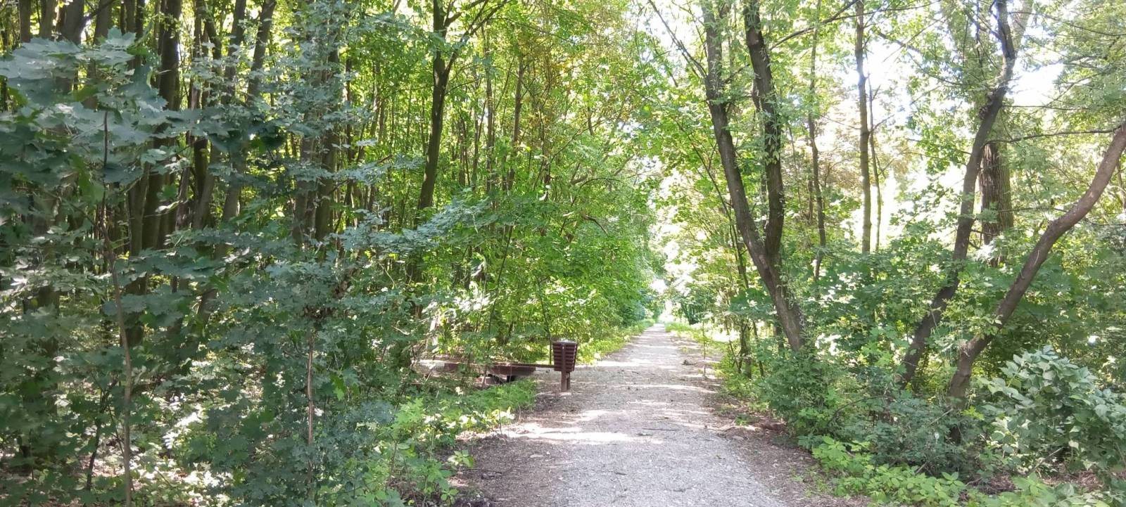 Zdjęcie 6