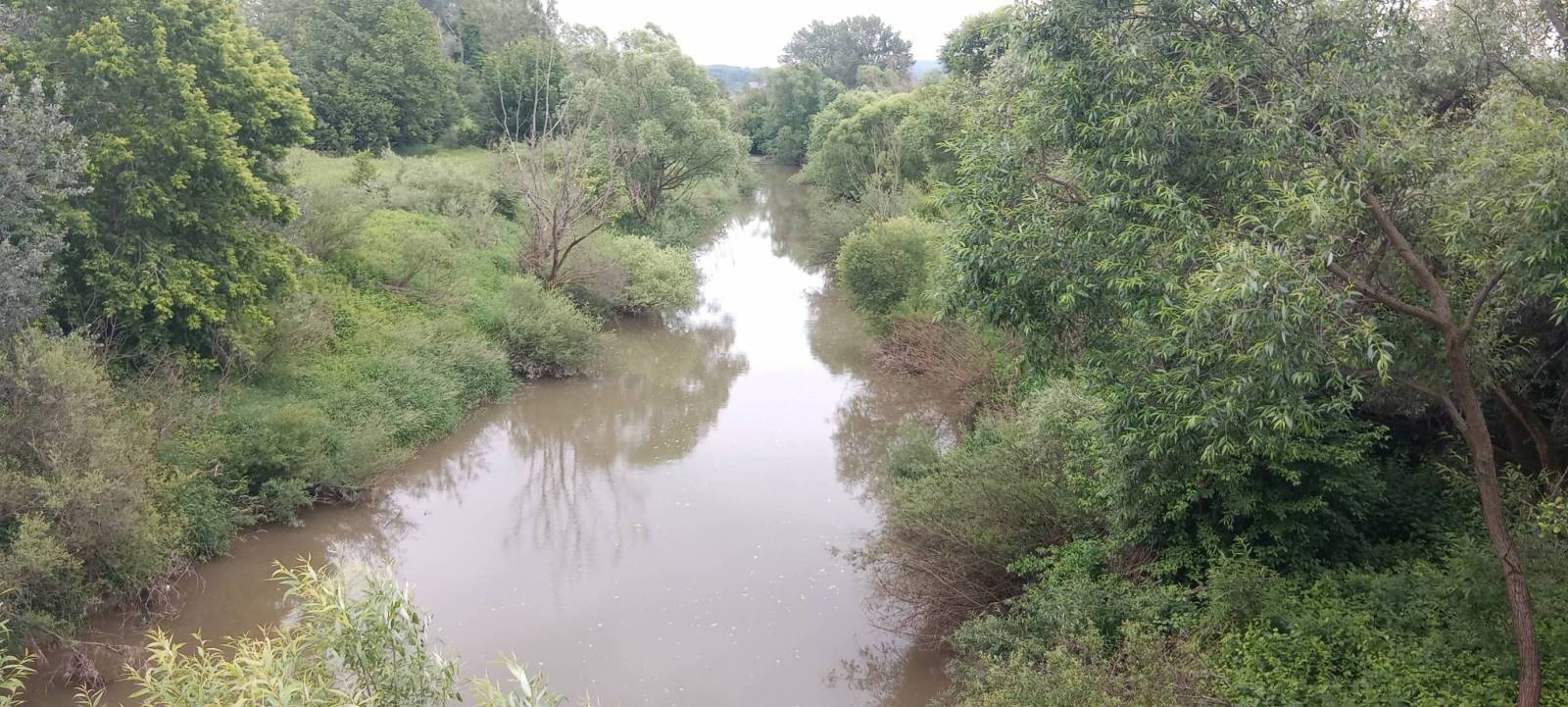 Zdjęcie 5