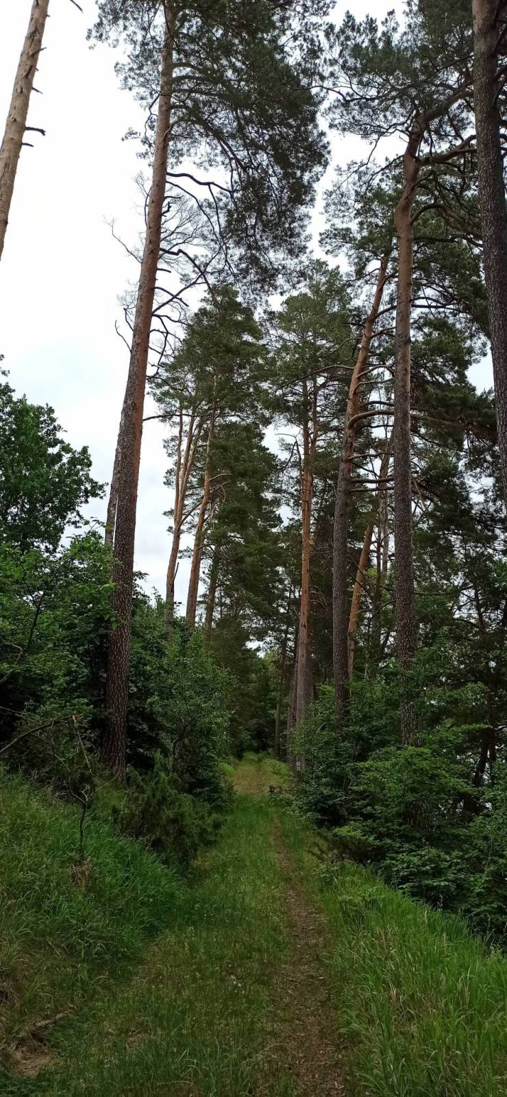 Zdjęcie 4