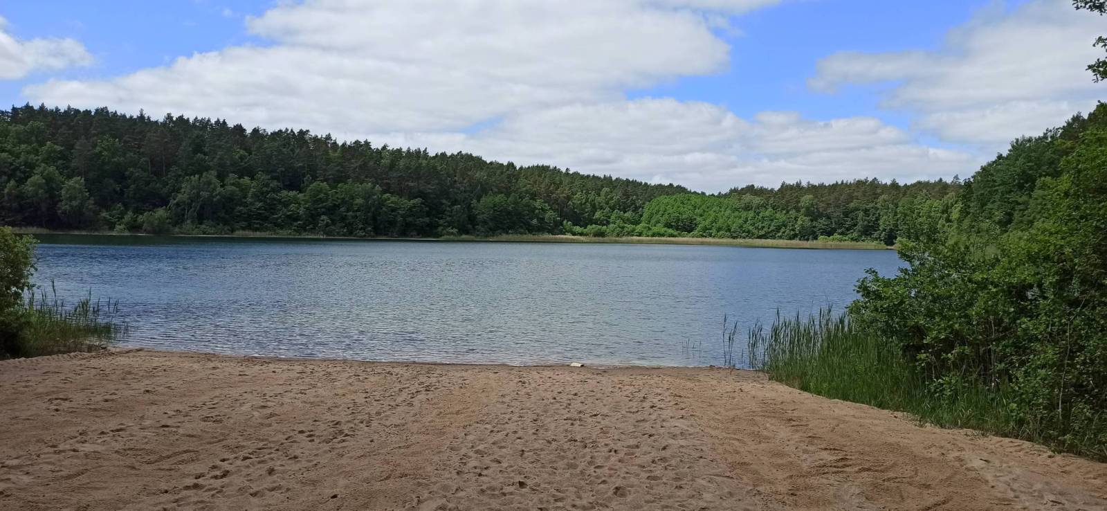 Zdjęcie 6