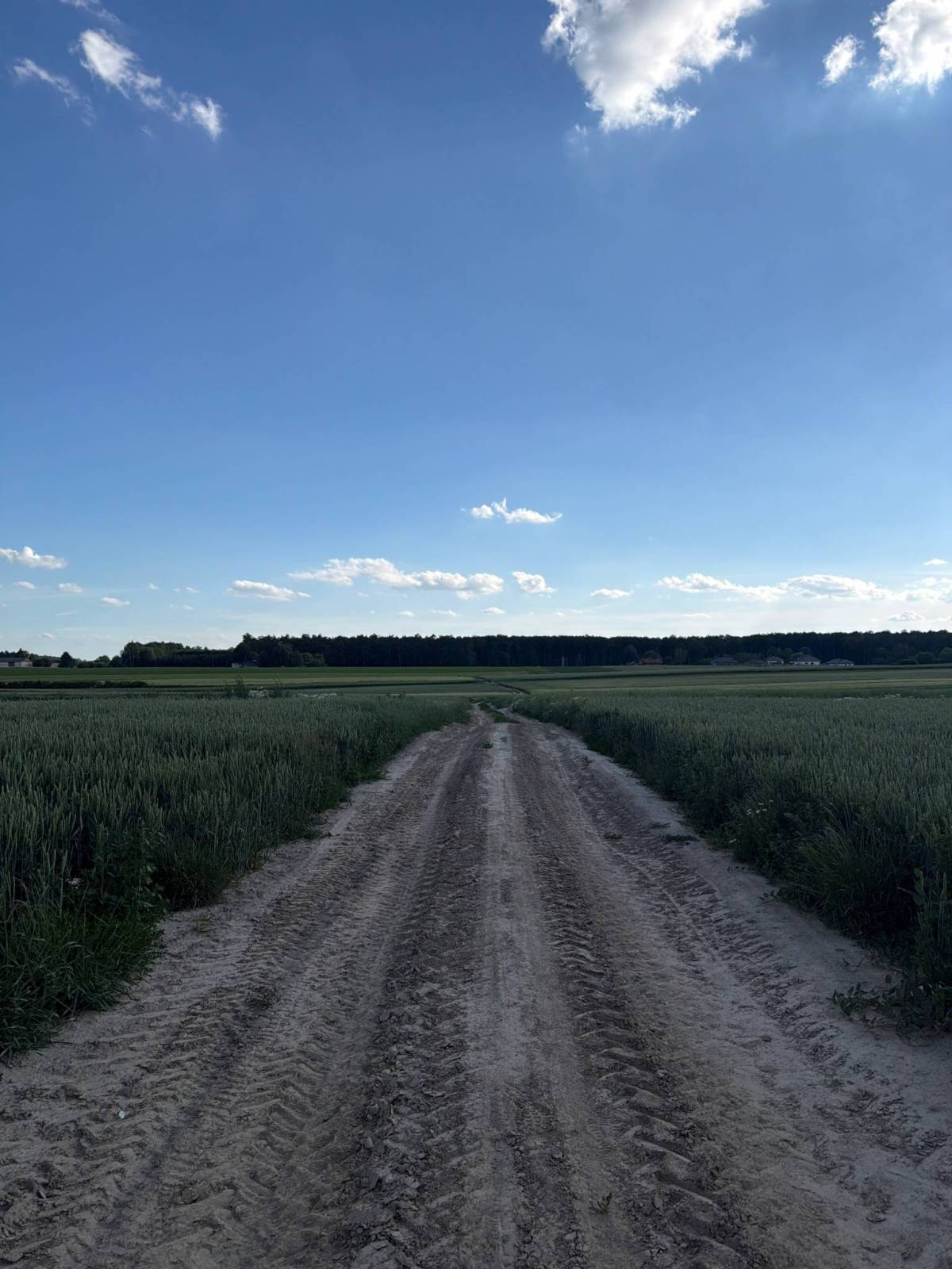 Zdjęcie 1
