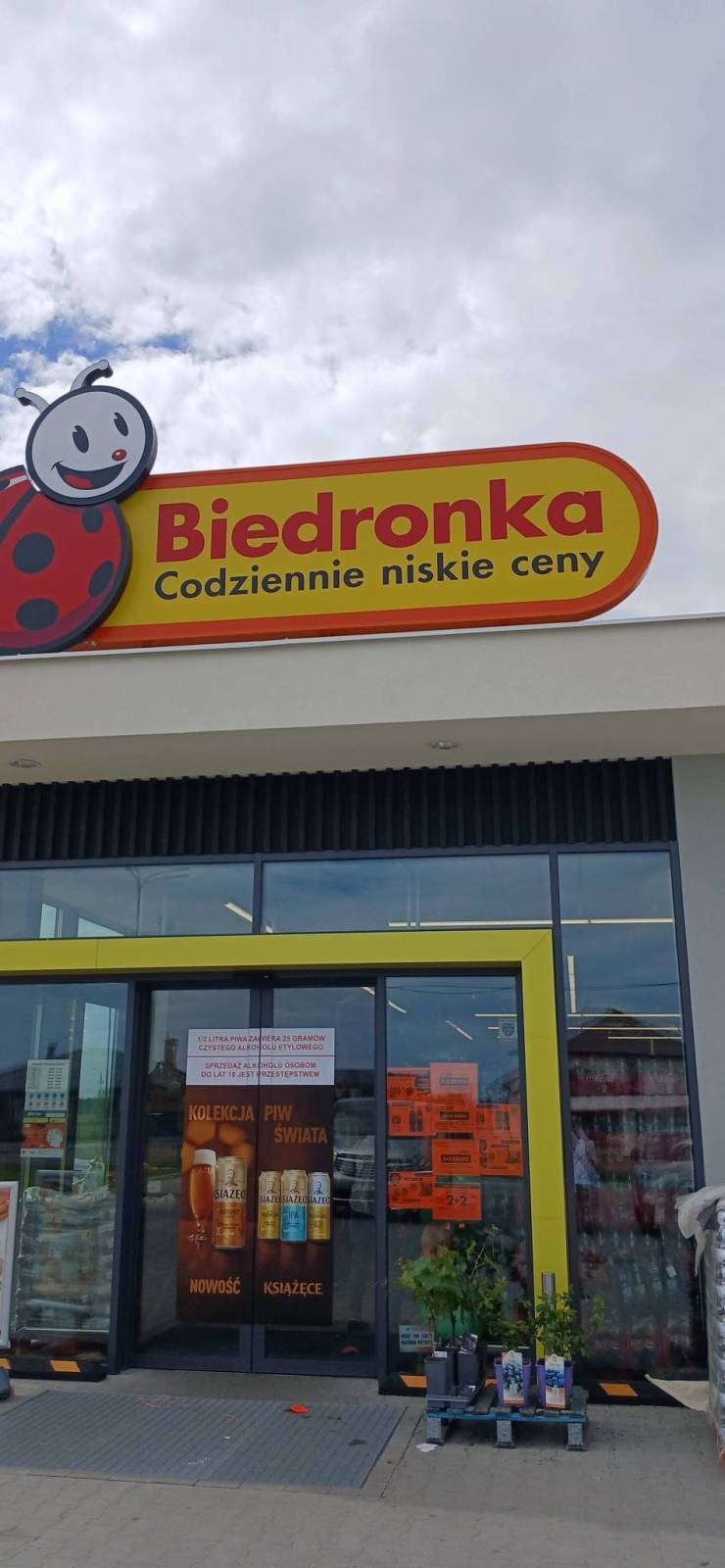 Zdjęcie 1
