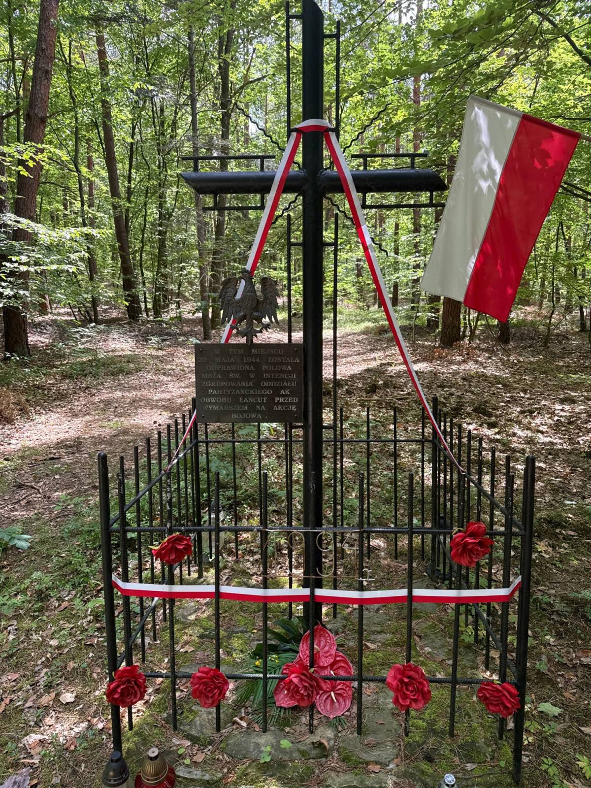 Zdjęcie 2