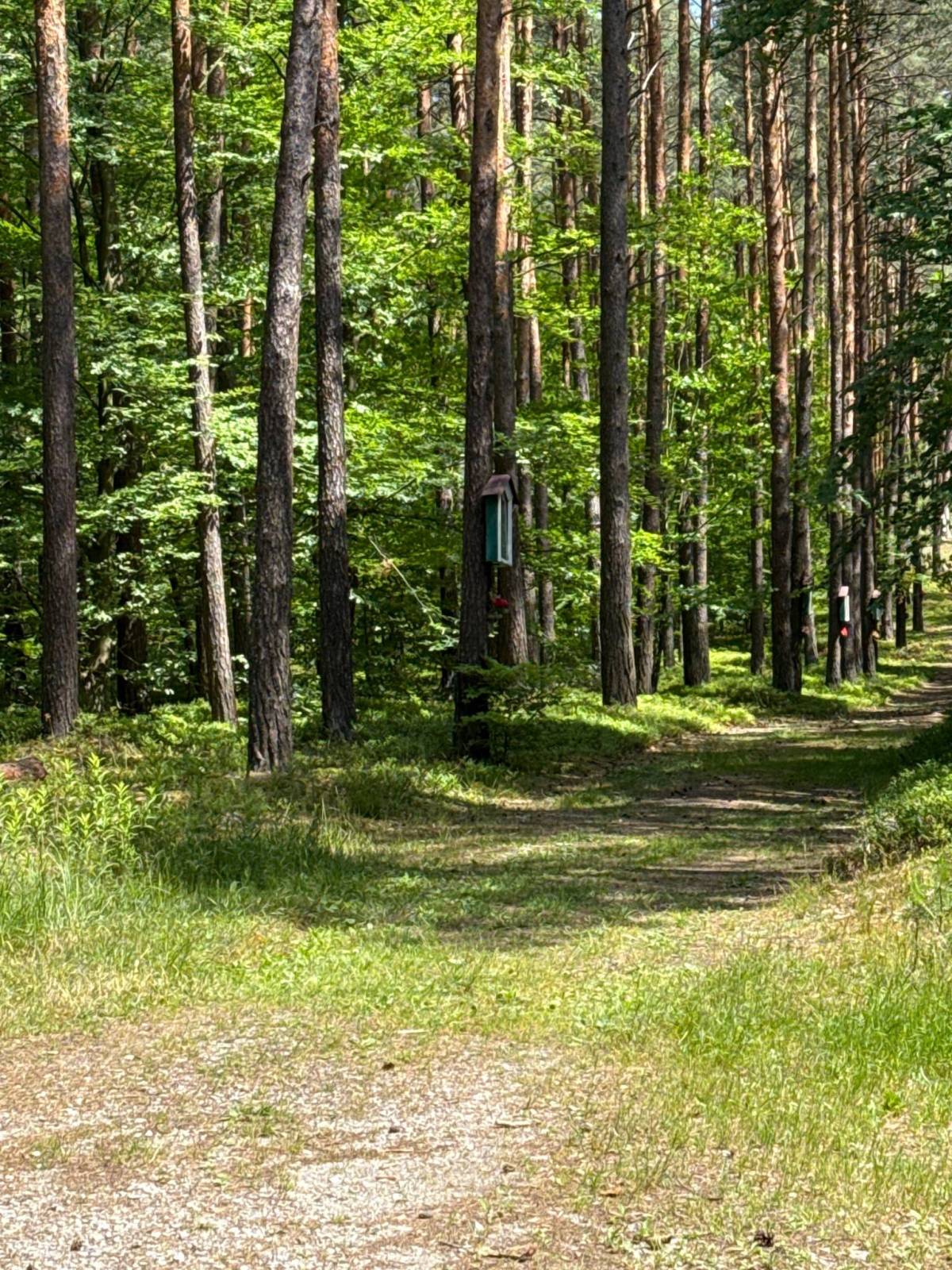 Zdjęcie 5