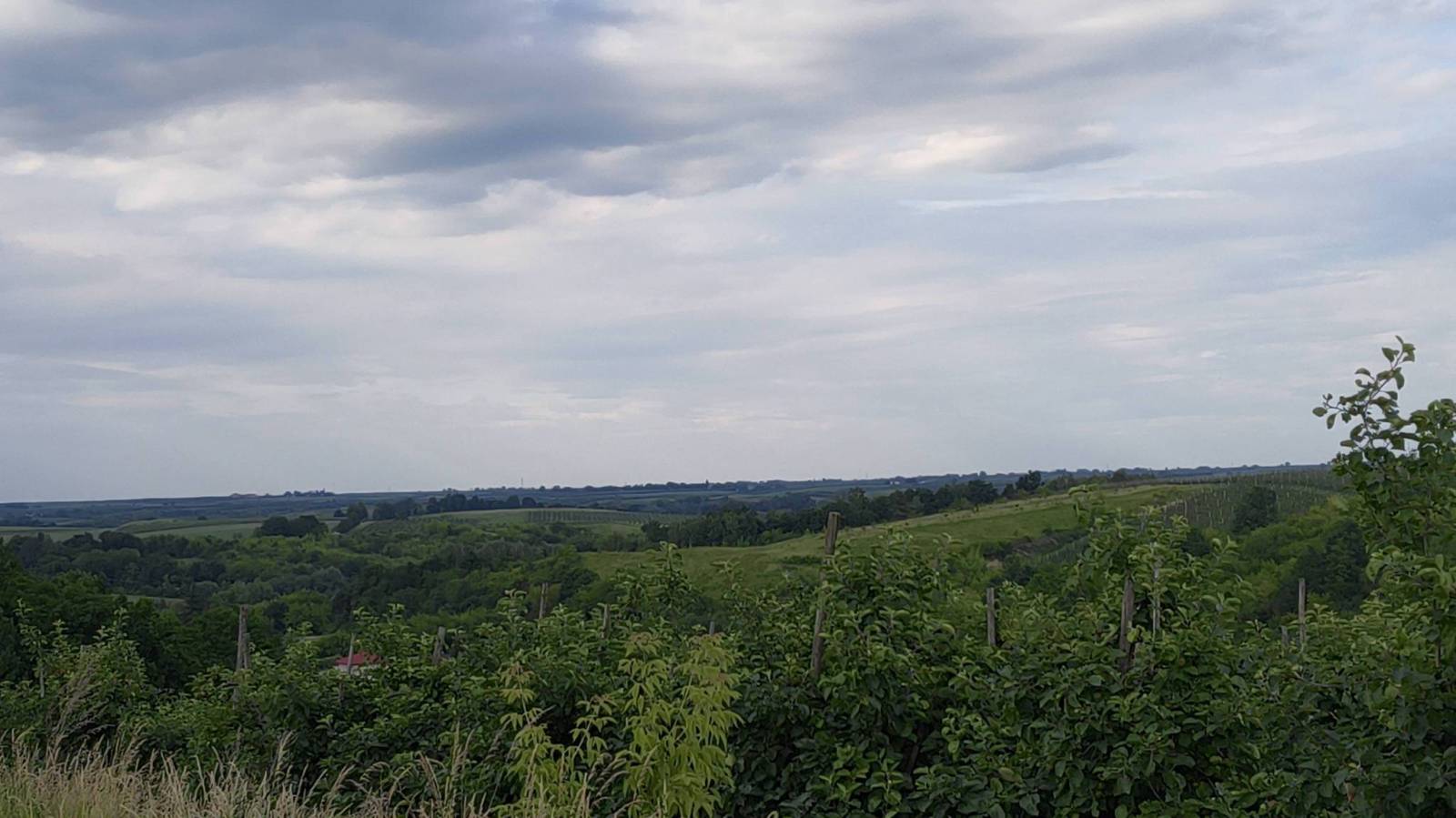 Zdjęcie 5