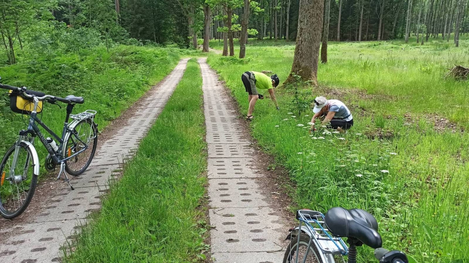 Zdjęcie 1