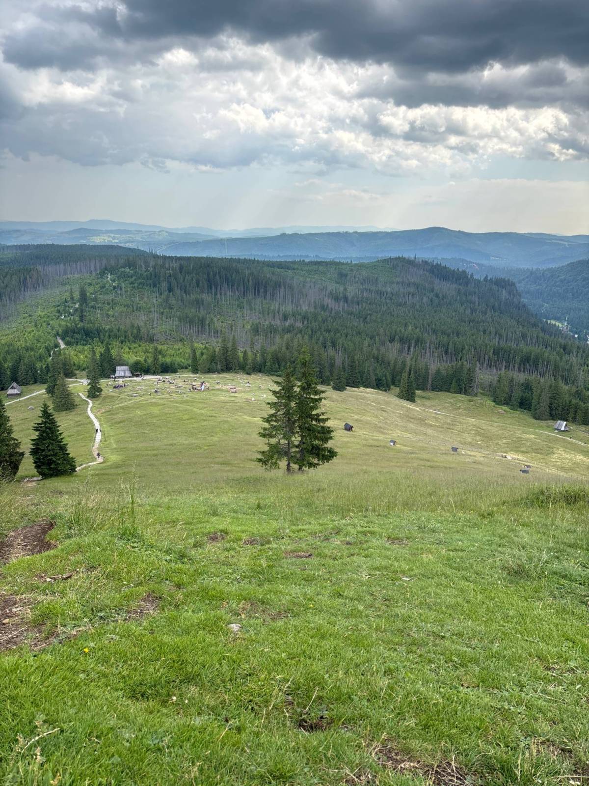 Zdjęcie 4