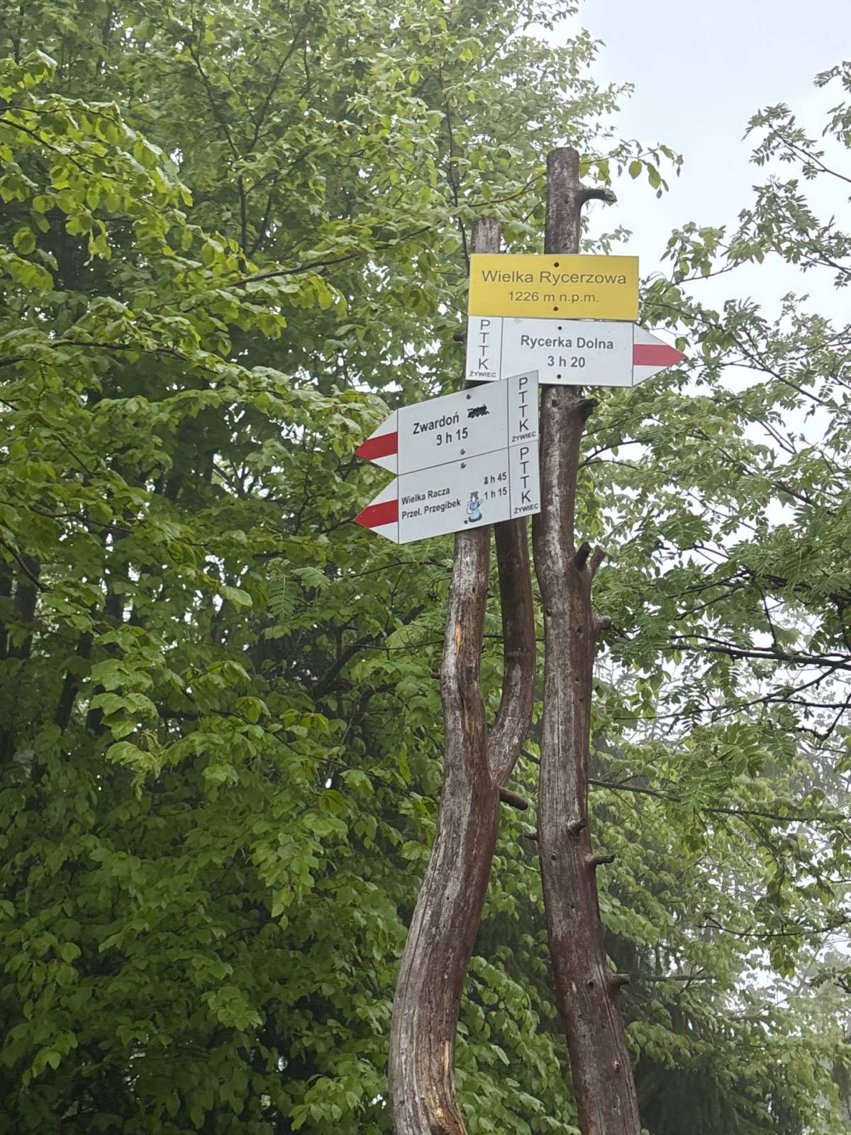 Zdjęcie 6