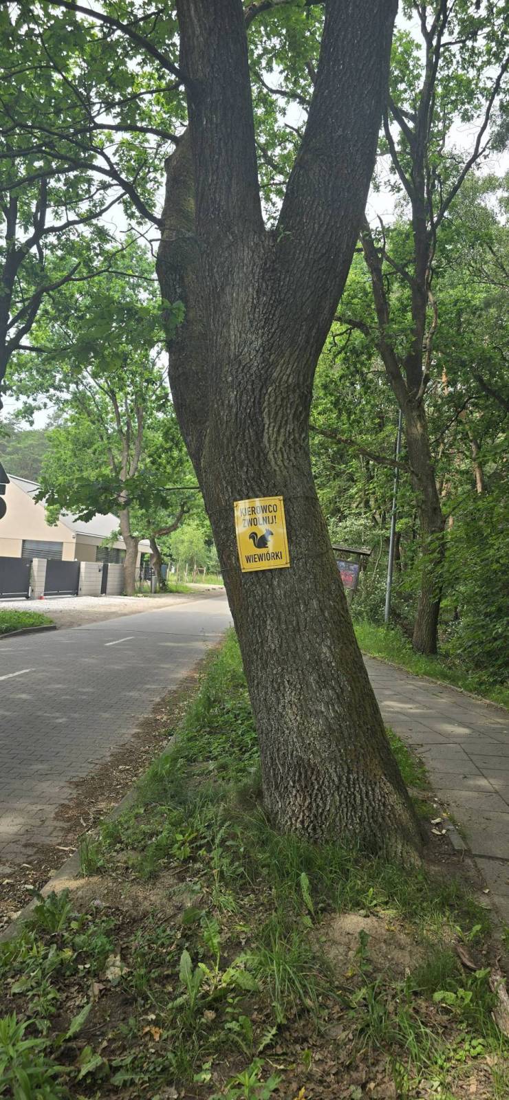 Zdjęcie 1
