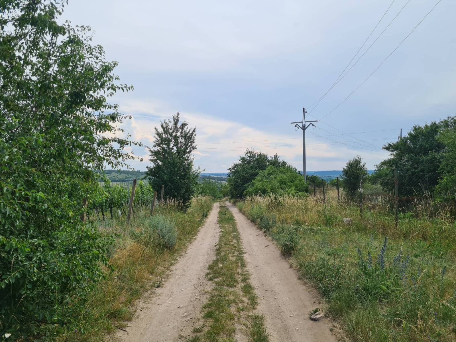 Zdjęcie 2