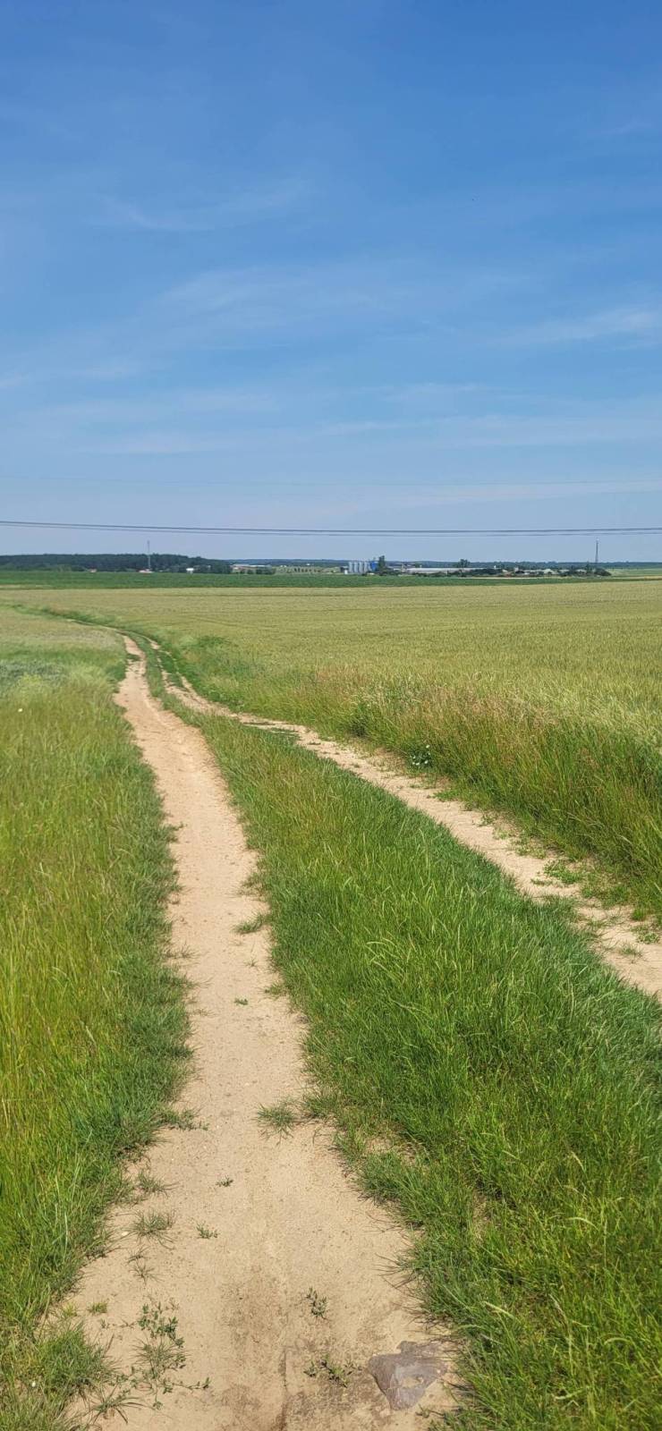 Zdjęcie 1