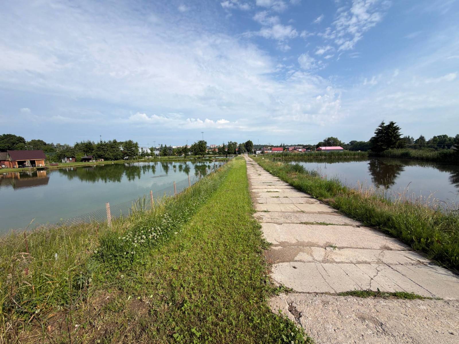 Zdjęcie 4