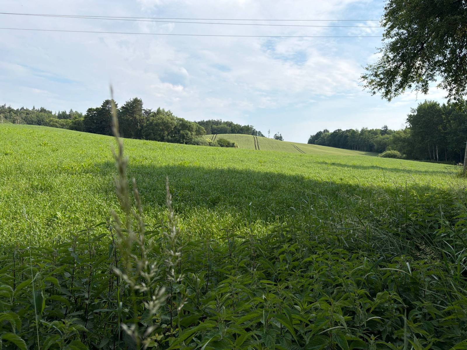 Zdjęcie 6