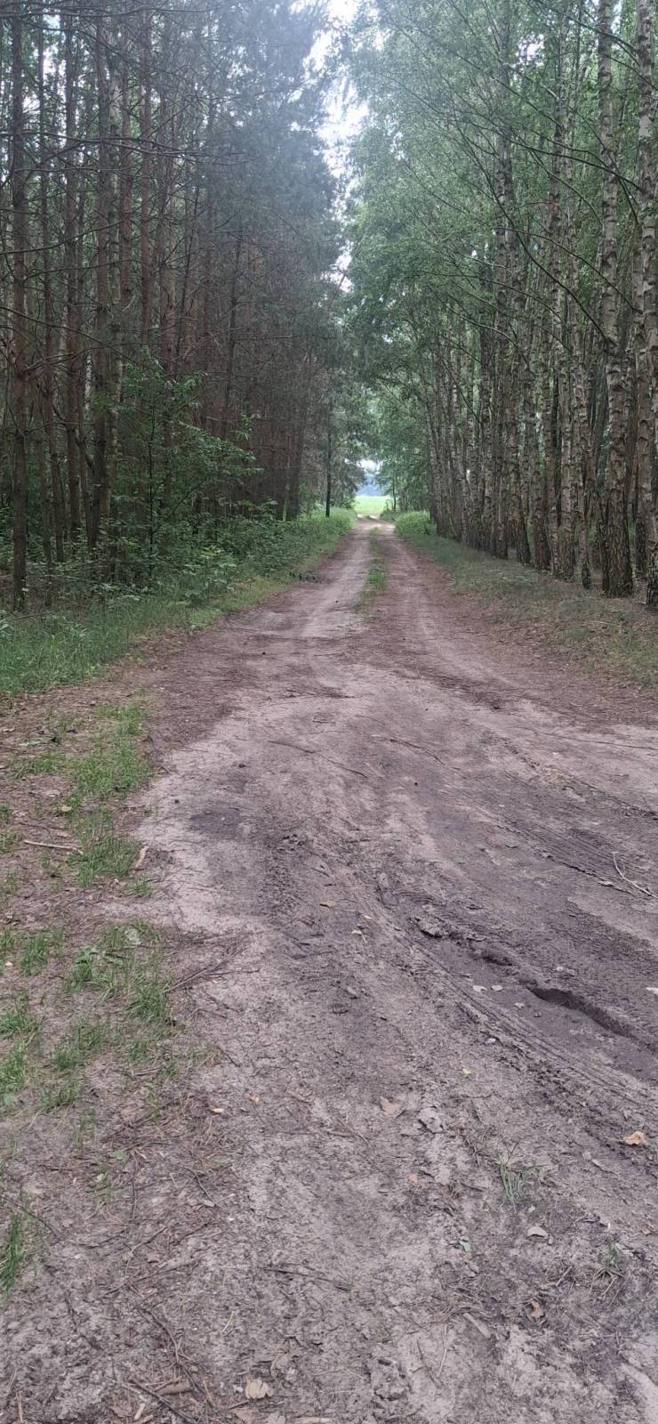 Zdjęcie 1