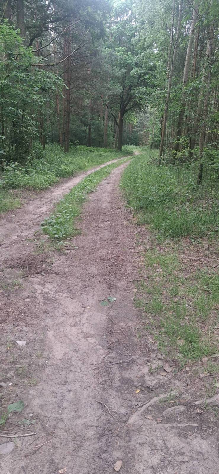 Zdjęcie 2