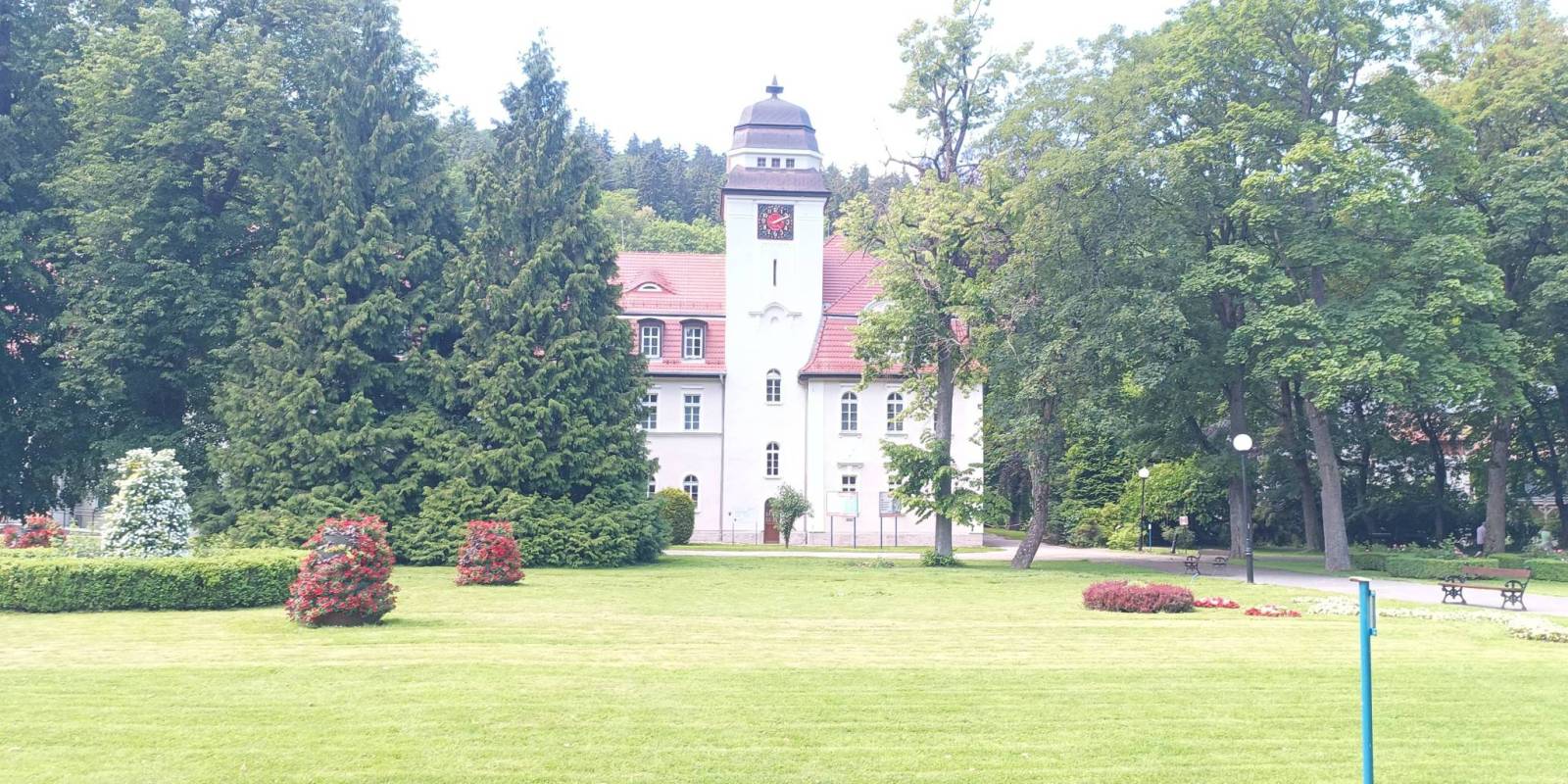 Zdjęcie 5
