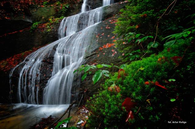 thumb-image